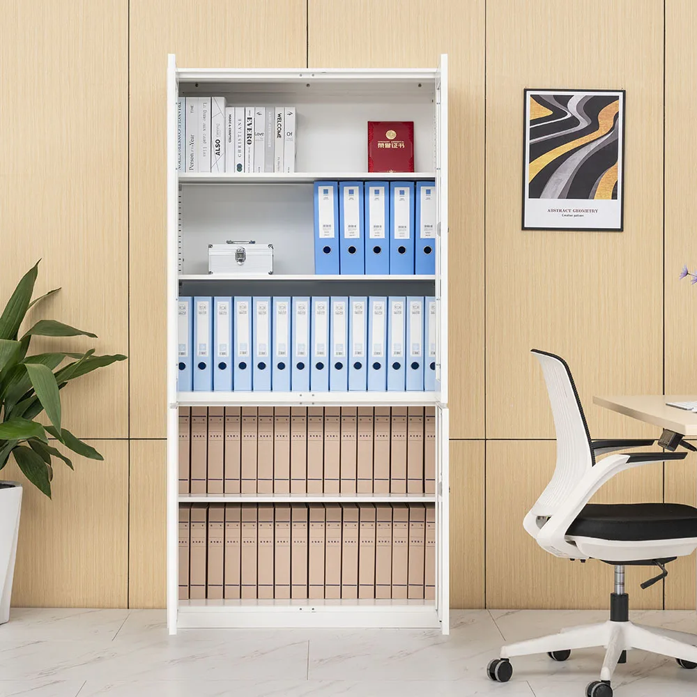 2026 2 Door File Cabinet Adjus - Office Furniture Filing Cabinets review and price